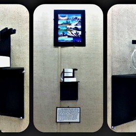 2D and 3D Partis: 2D and 3D Partis